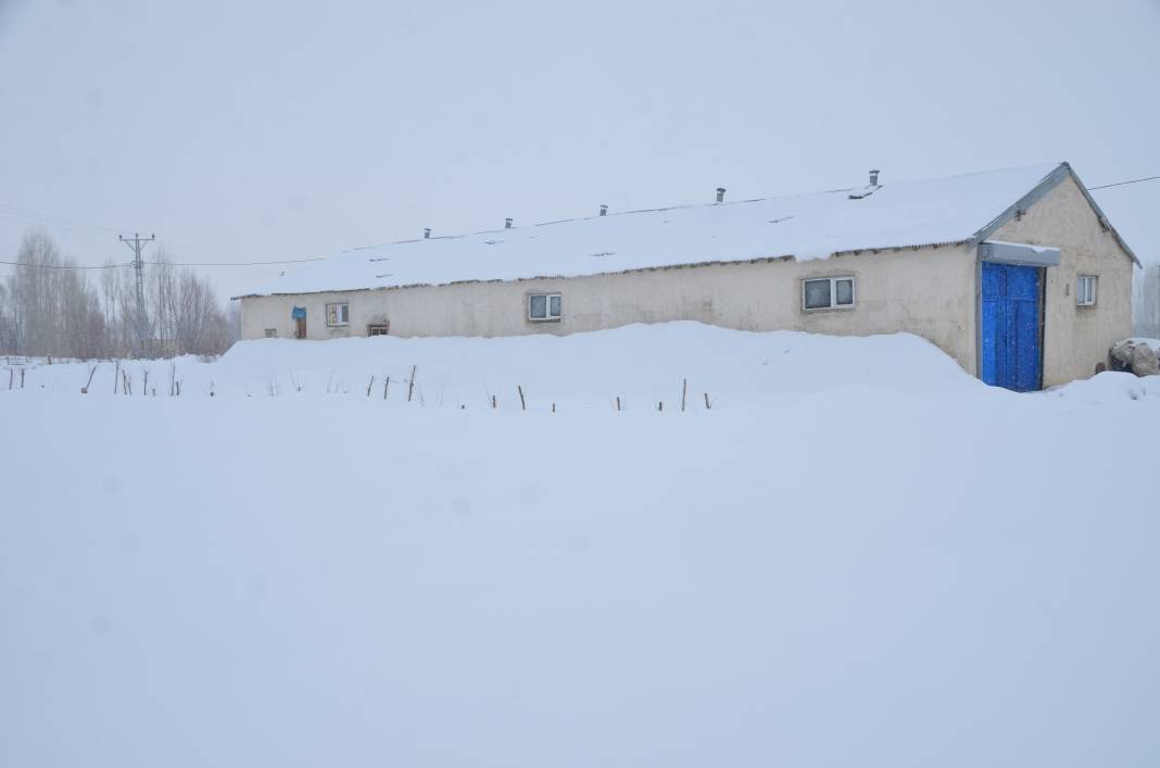 Hakkari ve Yüksekova’da kar 2 metreyi aştı. Tek katlı evler ve ahırlar kara gömüldü 16